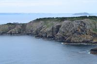 Die Insel Brecqhou ist bewachsen mit rosa Grasnelken 