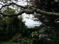  Blick vom Garten auf`s Meer