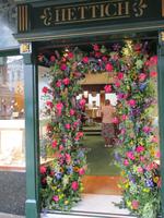  Schmuck zum Blütenfest