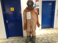 St. Helier, Fish Market