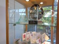 Jersey, Orchid Foundation