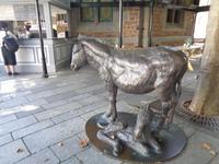 Guernsey, St. Peter Port