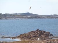 Guernsey, Fort Hommet