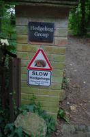 Wanderung entlang der Green Lanes im Landesinneren