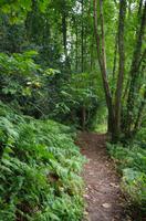 Wanderung entlang der Green Lanes im Landesinneren