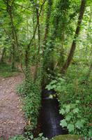 Wanderung entlang der Green Lanes im Landesinneren