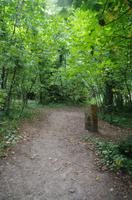 Wanderung entlang der Green Lanes im Landesinneren