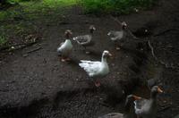 Wanderung entlang der Green Lanes im Landesinneren