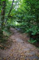 Wanderung entlang der Green Lanes im Landesinneren