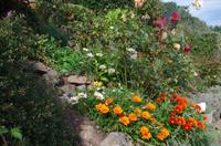 Wanderung von Giffard Bay nach Rozel
