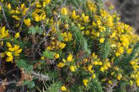 Wanderung zum Corbiere Leuchtturm