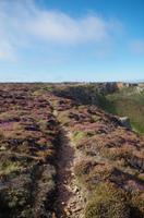 Wanderung vom Grosnez Castle bis Devils Hole