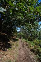 Wanderung vom Grosnez Castle bis Devils Hole