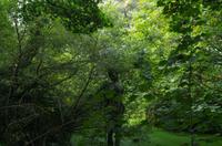 Wanderung vom Grosnez Castle bis Devils Hole