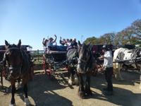 Kutschfahrt auf der Insel Sark
