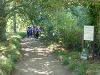 Wanderung auf der Insel Sark