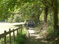 Wanderung auf der Insel Sark