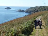 Wanderung auf der Insel Sark