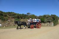 Kutschfahrt auf der Insel Sark