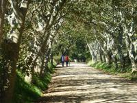 Spaziergang auf der Insel Sark