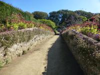 Besuch der Gärten La Seigneurie auf Sark