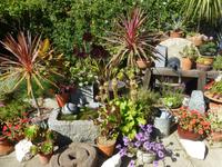 Besuch der Gärten La Seigneurie auf Sark