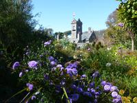 Besuch der Gärten La Seigneurie auf Sark