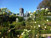 Besuch der Gärten La Seigneurie auf Sark