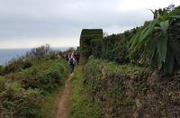Wanderung zu Icart Point auf Guernsey