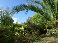 Gartentour auf Jersey - zweiter Privatgarten