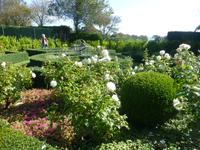 Gartentour auf Jersey - zweiter Privatgarten