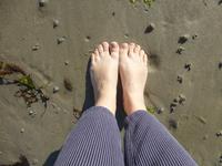 Wattwanderung vorm Hotel Ommaroo