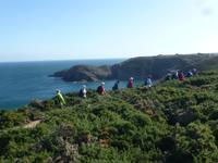 Wanderung an der Nordküste von Jersey