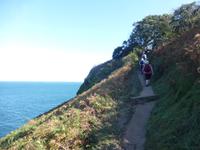 Wanderung an der Nordküste von Jersey nach Greve de Lecq