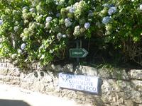 Wanderung an der Nordküste von Jersey nach Greve de Lecq