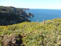 Wanderung an der Nordküste von Jersey zum Devils Hole