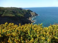 Wanderung an der Nordküste von Jersey zum Devils Hole