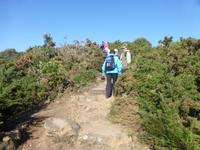 Wanderung an der Südküste Jerseys - St. Brelades zum Corbiere Leuchtturm