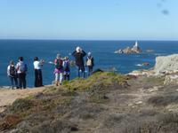Wanderung an der Südküste Jerseys - St. Brelades zum Corbiere Leuchtturm