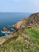 Klippen bei Ruine Grosnez Castle