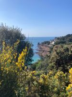 Küstenwanderung Jersey