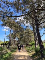 Wanderung zurück nach St Aubin