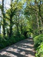 unterwegs auf Jersey