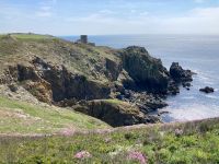 Küste Guernsey bei Pleinmont