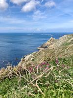 Küste Guernsey bei Pleinmont