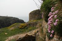 bei Ruine Grosnez Castle