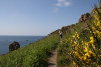 Küstenwanderung Jersey