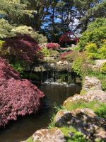 Botanischer Garten Samarès Manor (12).jpeg