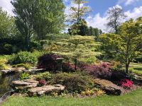 Botanischer Garten Samarès Manor (14).jpeg