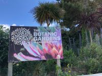 Botanischer Garten Samarès Manor (25).jpeg